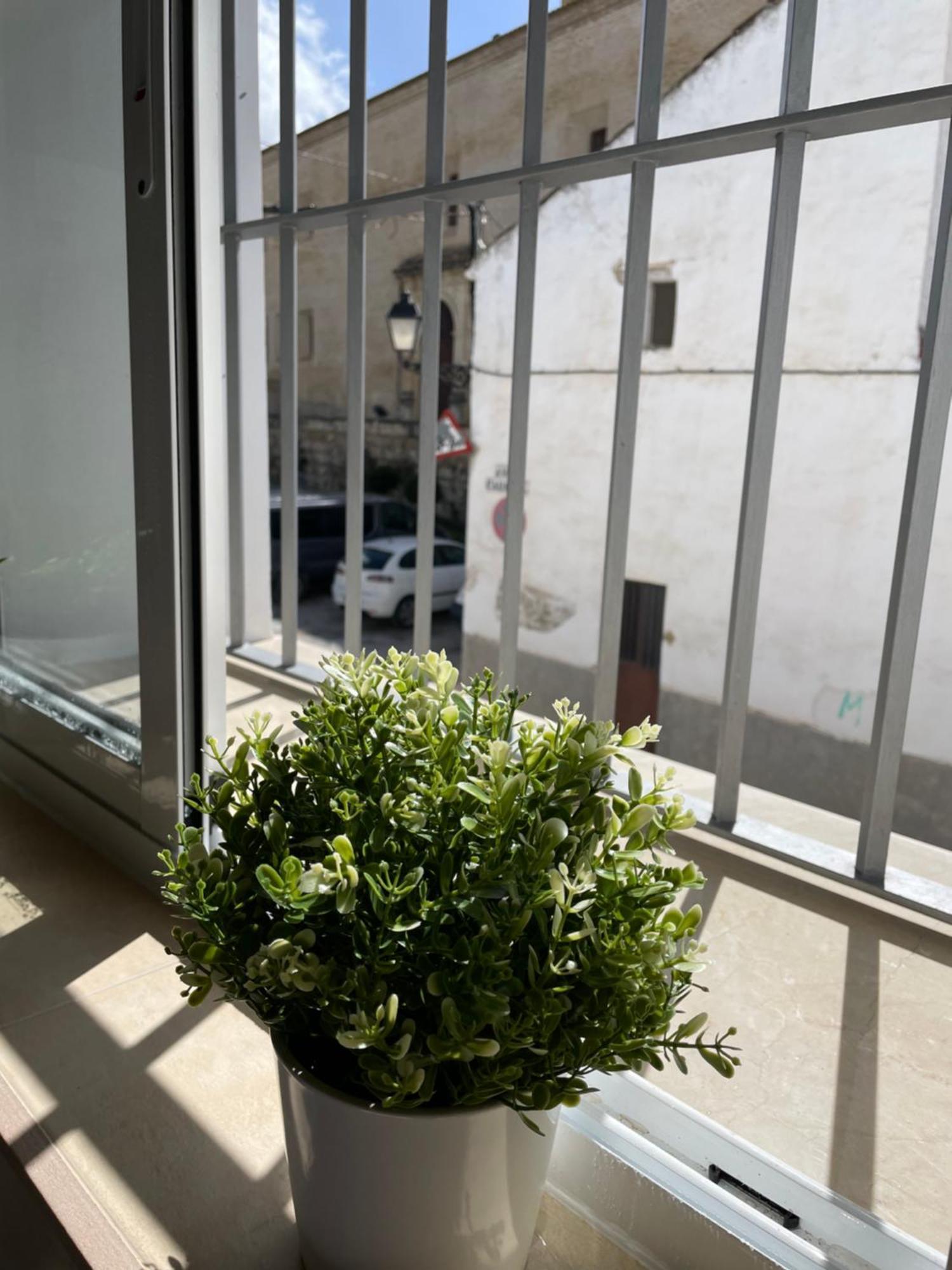 Casa Delia Bornos